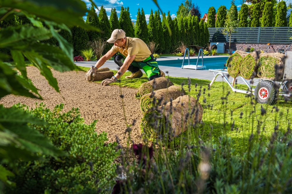 🌿 Gartenarbeiten vom Profi – Pflege, Rückschnitt & komplette Neugestaltung